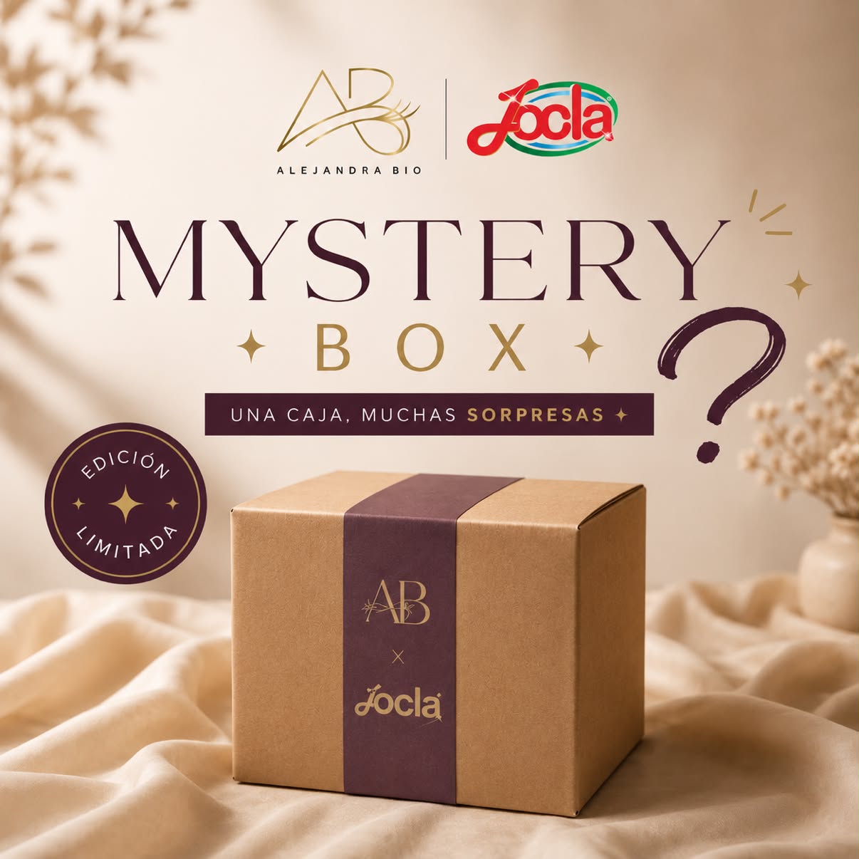 Mystery Box AB + JOCLA